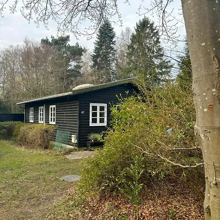 With Forest Idyll And Peace By Arreso Frederiksvaerk